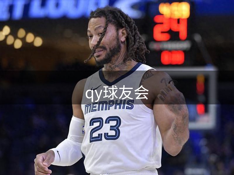 公司未来规划